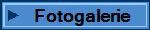Fotogalerie